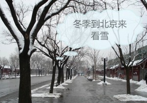 pasona北京冬天街景_看图王